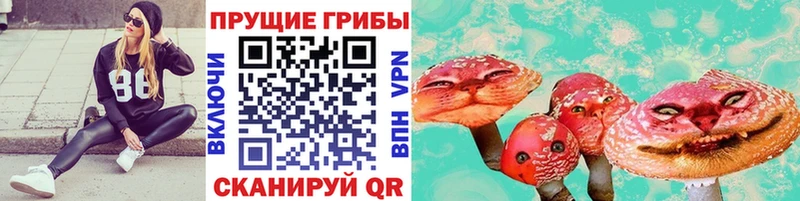 Галлюциногенные грибы мухоморы  Игарка 